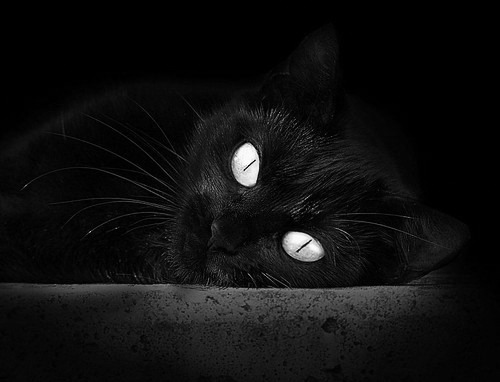 国际足球交流合作持续深化，推动中国足球融入全球足球生态，国际足球改革